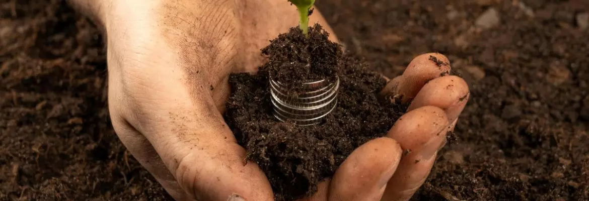 ahorro de combustible con minimo laboreo