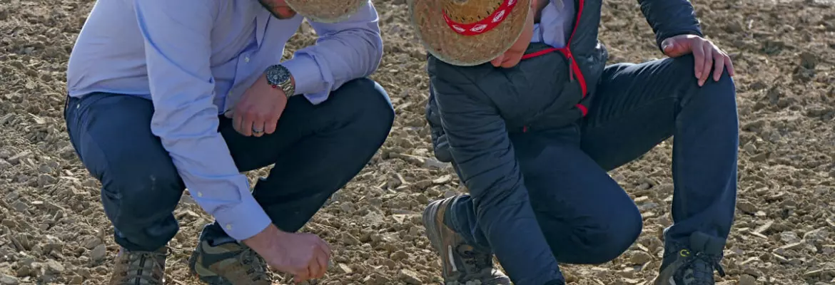 soil testing by two individuals after direct drilling