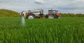 LEXIS 3800, trabajando en un campo de trigo