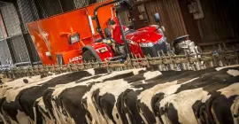 Profile 2 CS durante el trabajo