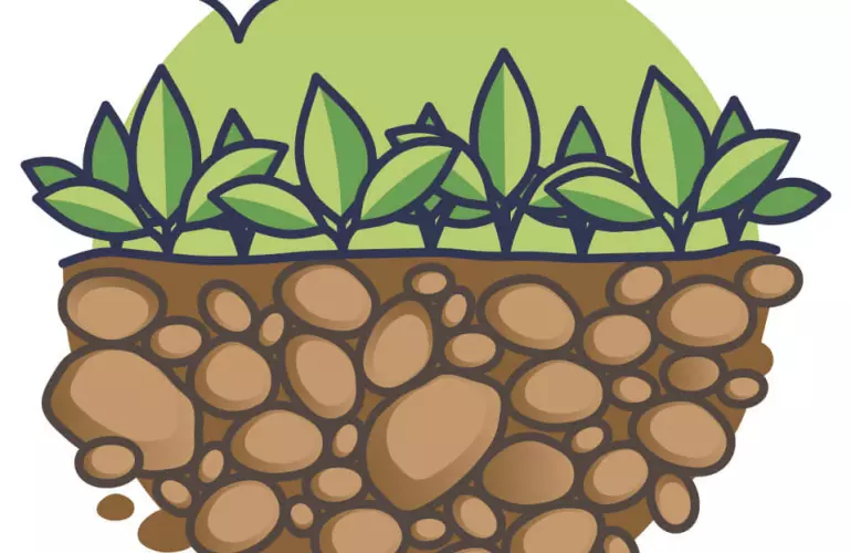 Los cultivos de cobertura ayudan a mejorar la calidad del aire de manera sostenible como una práctica agrícola.