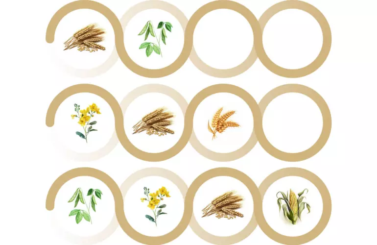 Ejemplos de rotación de cultivos