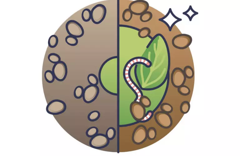 Mejorar la calidad del suelo con materia orgánica y lombrices.