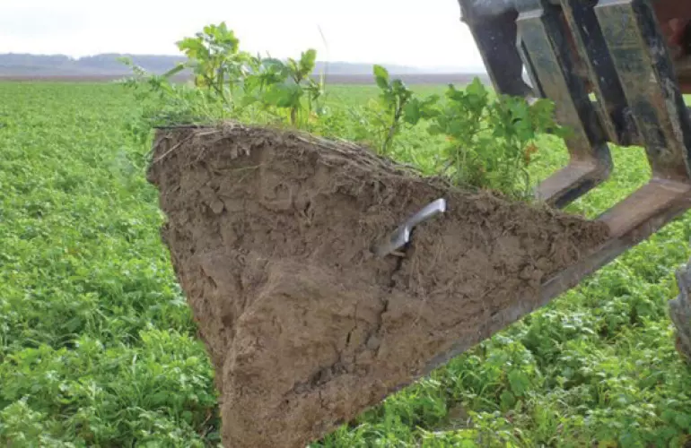 un tractor hurgando en un campo verde
