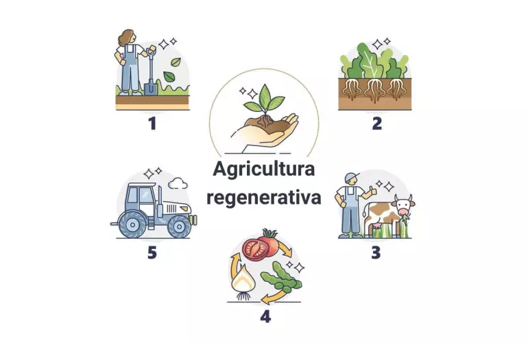 diagrama de 5 regeneraciones principales de agriculture 