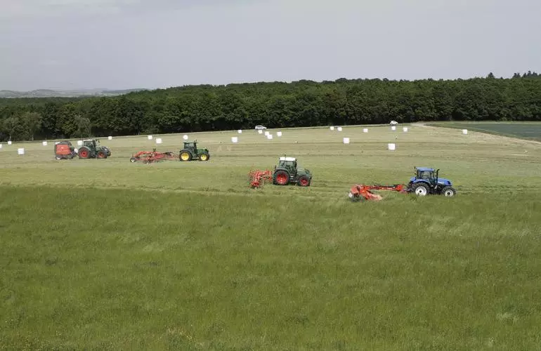 All the product harvest in the field