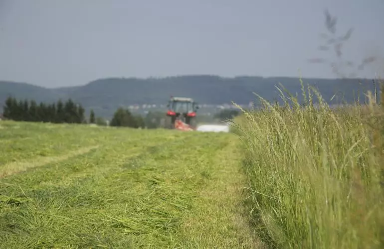 gras_cutting