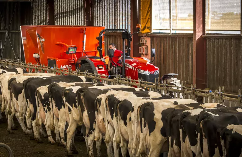 Profile 2 CS durante el trabajo