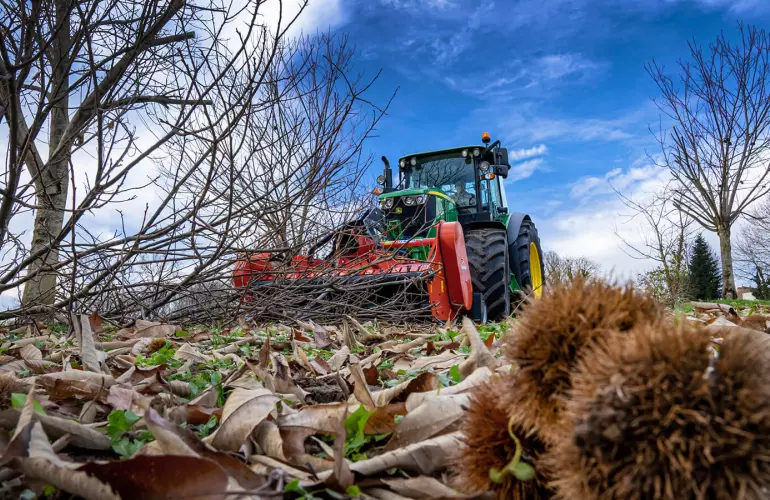 Los campos de castaños, pero también de otros árboles, estarán muy bien cuidados gracias a la trituración realizada por la trituradora especializada en plantaciones frutales TDP 2000