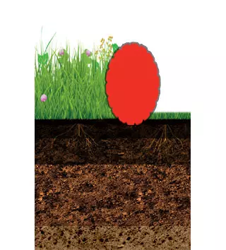 esquema cultivador superficial