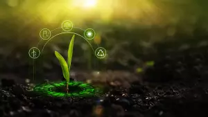 Objetivos cultivos de cobertura