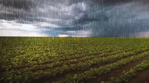 nitrato en el agua de drenaje