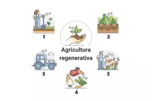diagrama de 5 regeneraciones principales de agriculture 