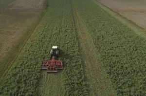 cultivador de rastrojos trabajando en el campo tras el final del invierno