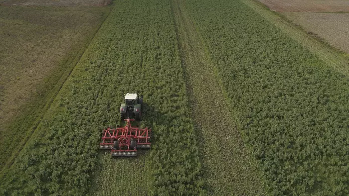 cultivador de rastrojos trabajando en el campo tras el final del invierno