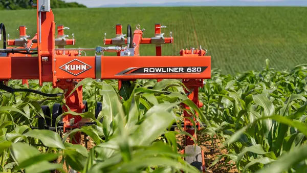 Foto del cultivador binador ROWLINER en maíz en la fase 9 hojas