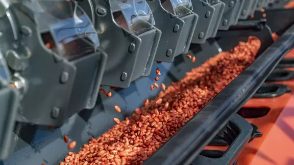 Realiza tu prueba de caudal con total sencillez para sembrar con tranquilidad con la sembradora SITERA 3030.