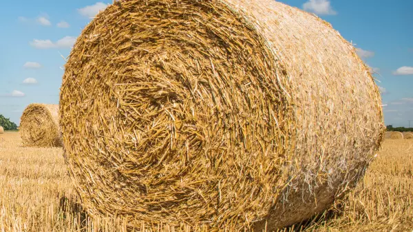 El sistema de refuerzo de la presión PROGRESSIVE DENSITY PLUS hace posible una densidad un 10 % mayor con forrajes secos