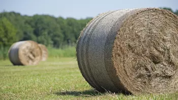 Pacas firmes atadas con malla