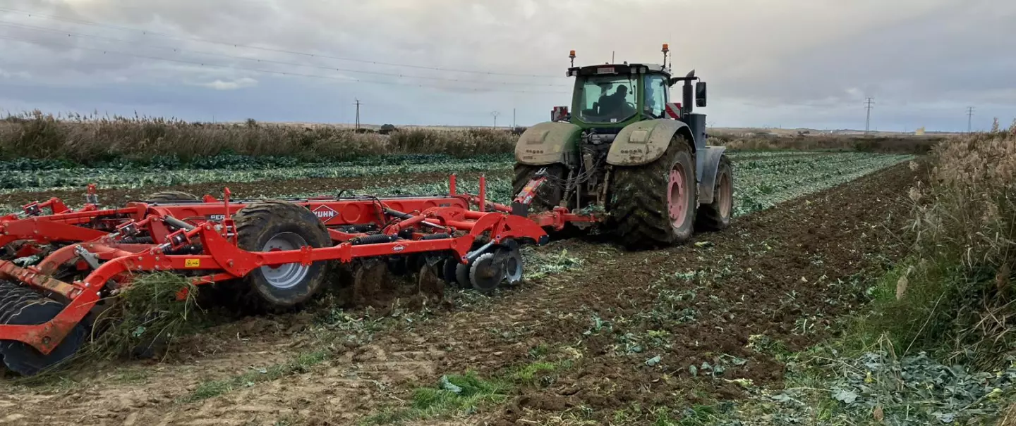 PERFORMER SELECT TRABAJANDO CON BROCOLI