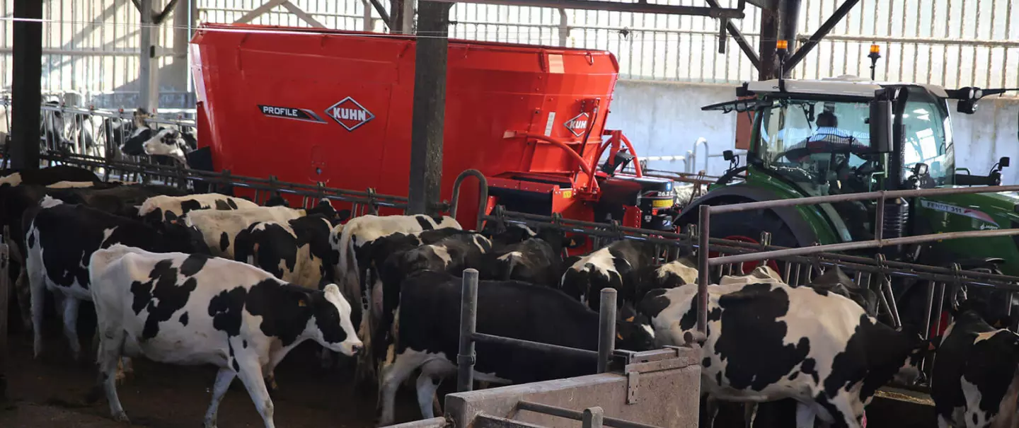 Profile 2 CL durante el trabajo