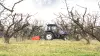 La trituradora BV 1800 trabajando en los campos de cerezos en el este de Francia