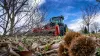 Los campos de castaños, pero también de otros árboles, estarán muy bien cuidados gracias a la trituración realizada por la trituradora especializada en plantaciones frutales TDP 2000